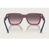 Arnette Cold Heart 2.0 4334