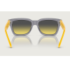 Arnette Cold Heart 2.0 4334