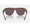 Ray-Ban Boyfriend Reverse 0501S