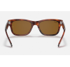 Ray-Ban Burbank 2283