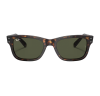 Ray-Ban Burbank 2283