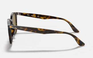 Ray-Ban 4258