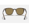 Ray-Ban 4258