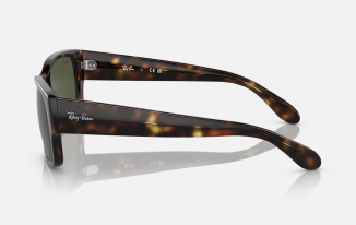 Ray-Ban 4388
