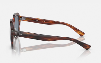 Ray-Ban Gina 4399