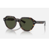 Ray-Ban Gina 4399