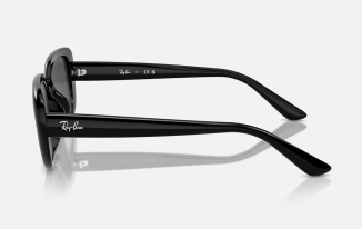 Ray-Ban 4421D