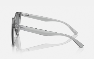 Ray-Ban 4423D