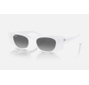 Ray-Ban Kat 4427