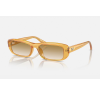 Ray-Ban 4436D