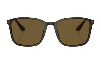 Giorgio Armani 8197