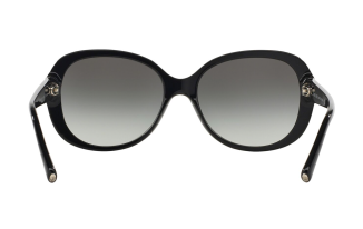Giorgio Armani 8047