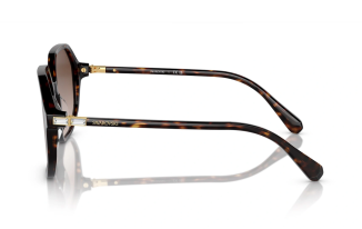 Swarovski 6003