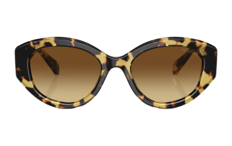 Swarovski 6005