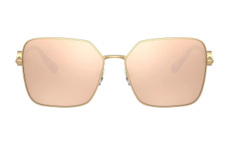 Versace 2227