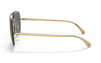 Versace 2231