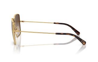 Dolce & Gabbana 2242