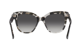 Dolce & Gabbana 4407