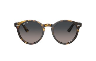 Ray-Ban® Larry 7680S
