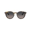 Ray-Ban® Larry 7680S