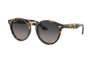 Ray-Ban® Larry 7680S