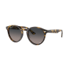 Ray-Ban® Larry 7680S