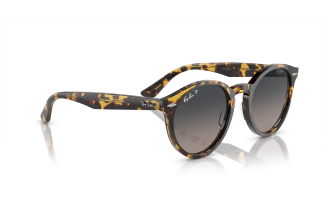 Ray-Ban® Larry 7680S