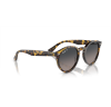 Ray-Ban® Larry 7680S