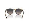Ray-Ban® Larry 7680S