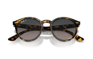 Ray-Ban® Larry 7680S