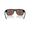 Oakley® Holbrook XXL 9487