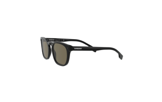 Burberry Ellis 4329