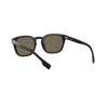 Burberry Ellis 4329