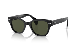 Ray-Ban® 0880S