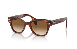 Ray-Ban® 0880S