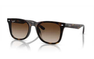 RAY-BAN 4420