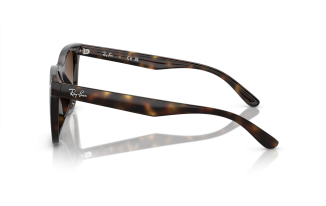 RAY-BAN 4420
