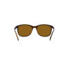 RAY-BAN 4374