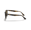 Ray-Ban RB4259