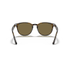 Ray-Ban RB4259