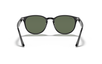 Ray-Ban RB4259