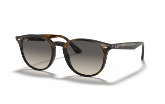 Ray-Ban RB4259