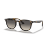 Ray-Ban RB4259