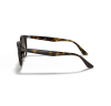 Ray-Ban RB4259