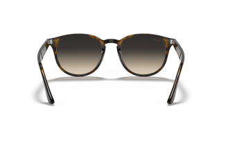 Ray-Ban RB4259