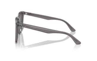 RAY-BAN 2206D