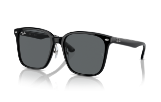 RAY-BAN 2206D