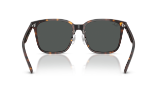 RAY-BAN 2206D