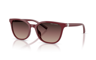 Armani Exchange 4168SU
