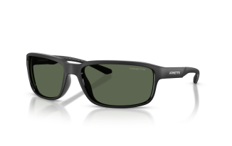 ARNETTE 4373